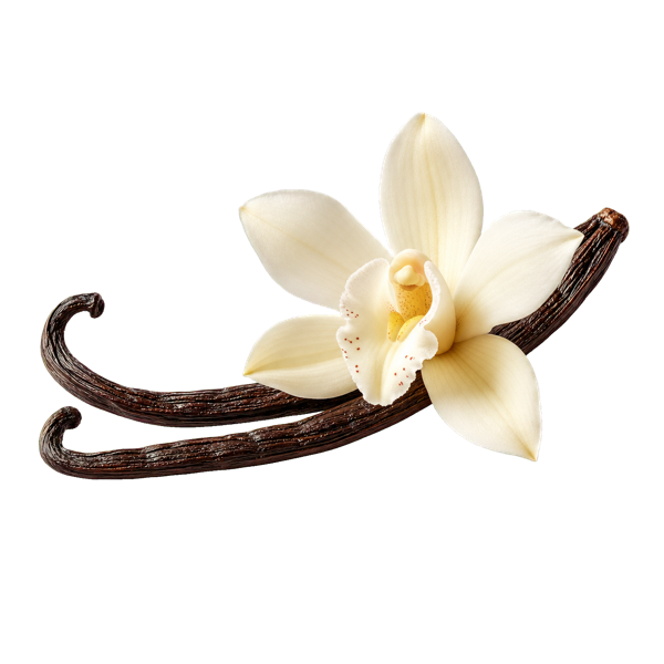 Vanilla Extract